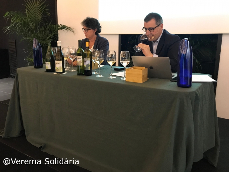 Verema Solidria torna a vinya i estrena model 2.0 (3)